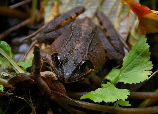 ���}�A�J�K�G��