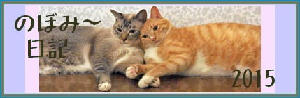 のぼみ～日記　2015