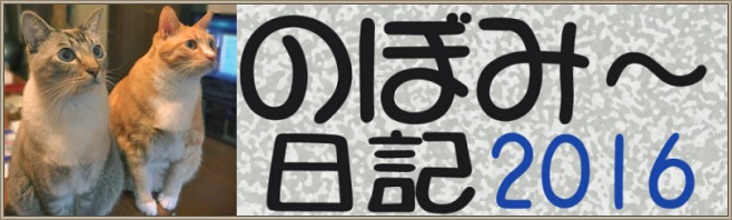 のぼみ～日記2016